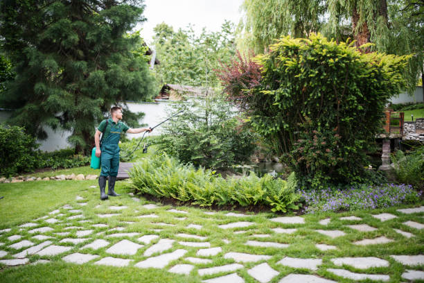 Best Commercial Pest Control Services  in Everett, MA