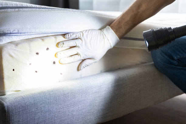 Best Wildlife Control Services  in Everett, MA