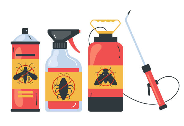 Best Exterminator Services  in Everett, MA